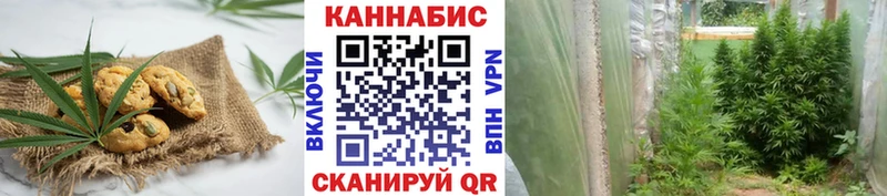 мориарти наркотические препараты  наркотики  Светлый  Canna-Cookies конопля 
