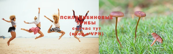 гидропоника Богородицк