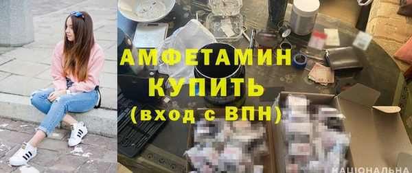 крисы Козельск