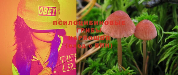 прущие крисы Богородск